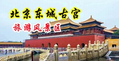 欧美色图蜜月中国北京-东城古宫旅游风景区